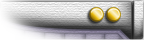 Lieutenant